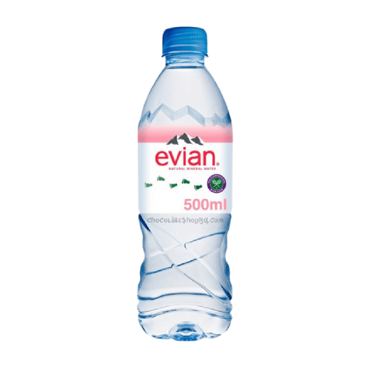 Evian Water 500ml